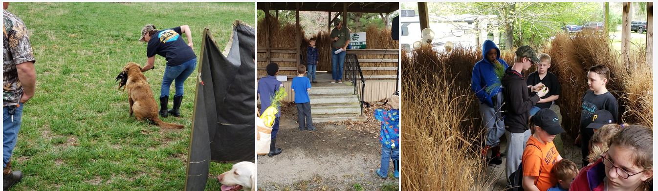 DU Photo Collage of Jr. Retriever Training